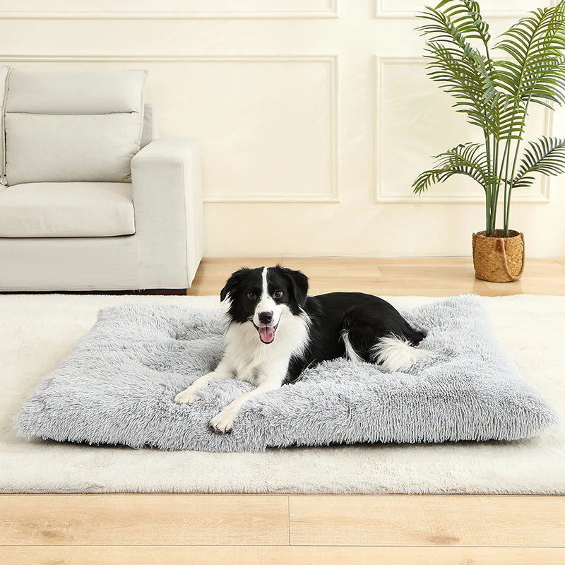Cama Suave de Felpa para Perros y Gatos - 100% Algodón Lavable