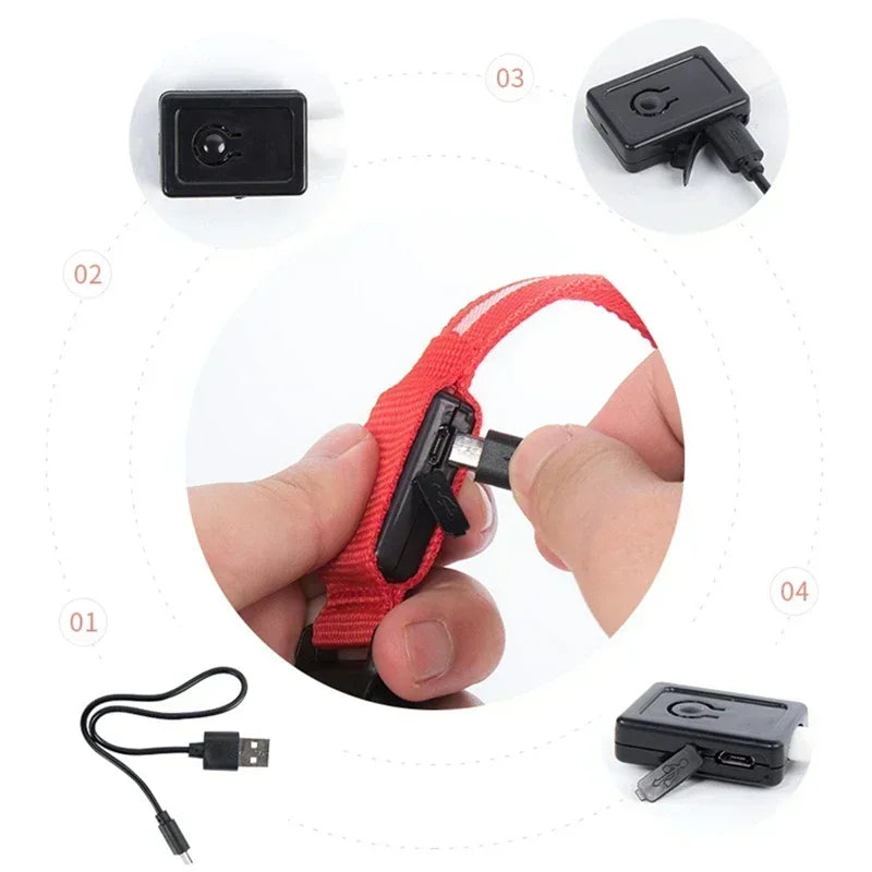 Collar LED Luminoso para Perros - Recargable USB 💡🐕