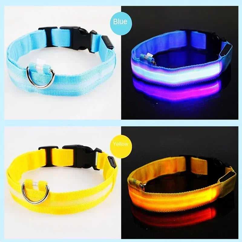 Collar LED Luminoso para Perros - Recargable USB 💡🐕