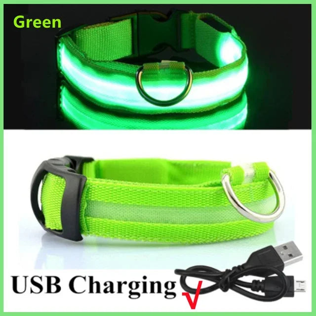 Collar LED Luminoso para Perros - Recargable USB 💡🐕