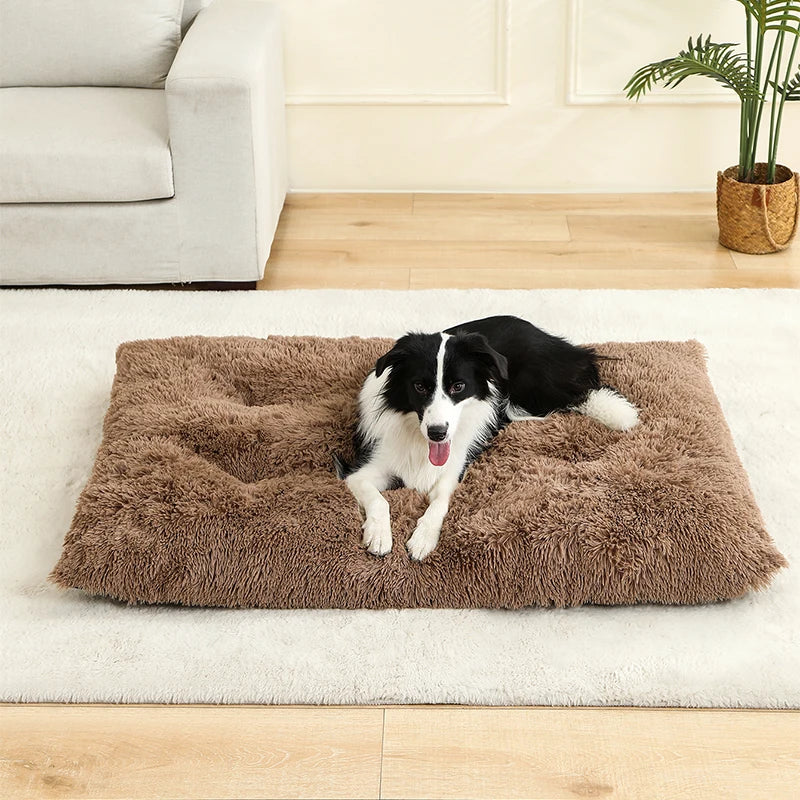 Cama Suave de Felpa para Perros y Gatos - 100% Algodón Lavable