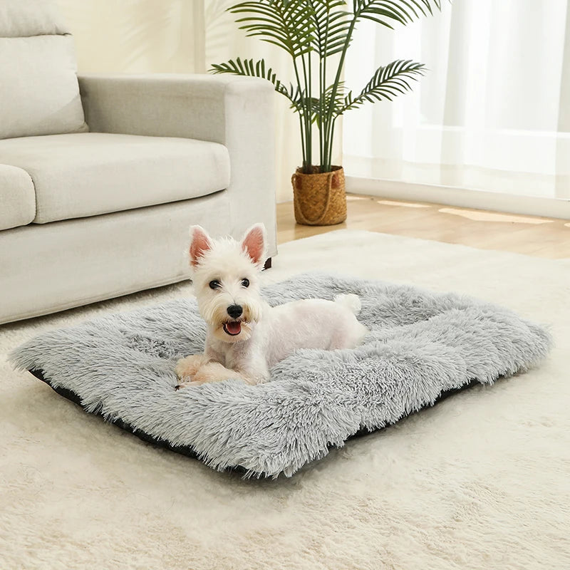 Cama Suave de Felpa para Perros y Gatos - 100% Algodón Lavable