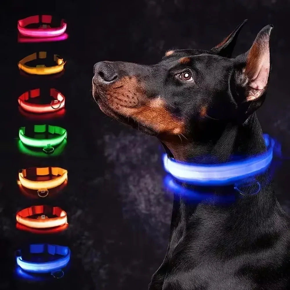 Collar LED Luminoso para Perros - Recargable USB 💡🐕