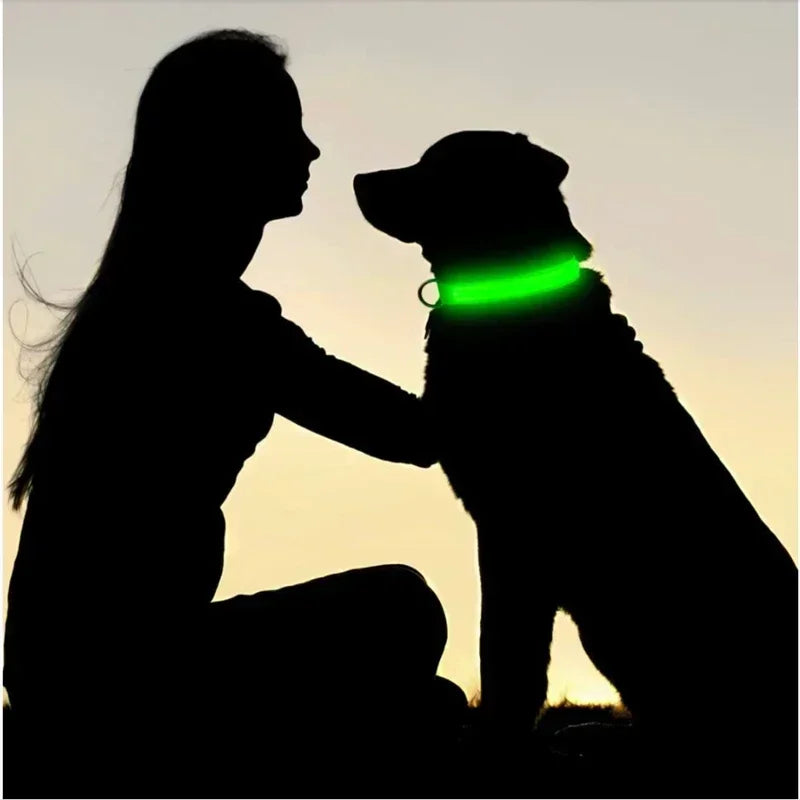 Collar LED Luminoso para Perros - Recargable USB 💡🐕