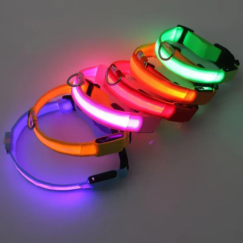 Collar LED Luminoso para Perros - Recargable USB 💡🐕