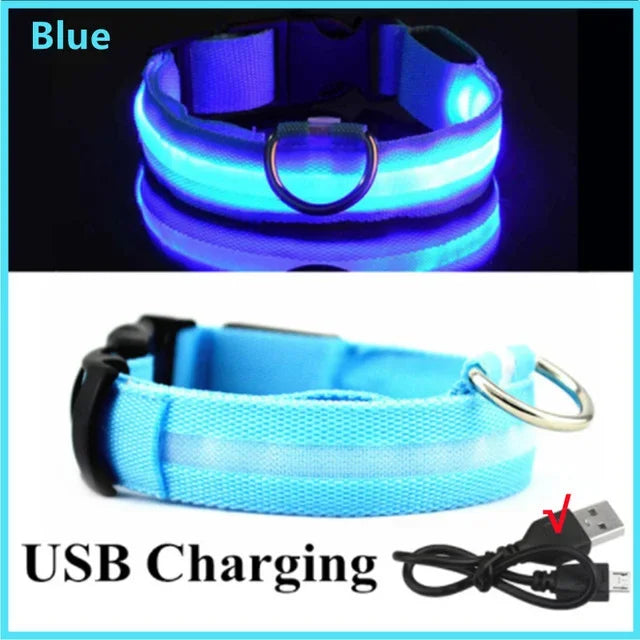 Collar LED Luminoso para Perros - Recargable USB 💡🐕