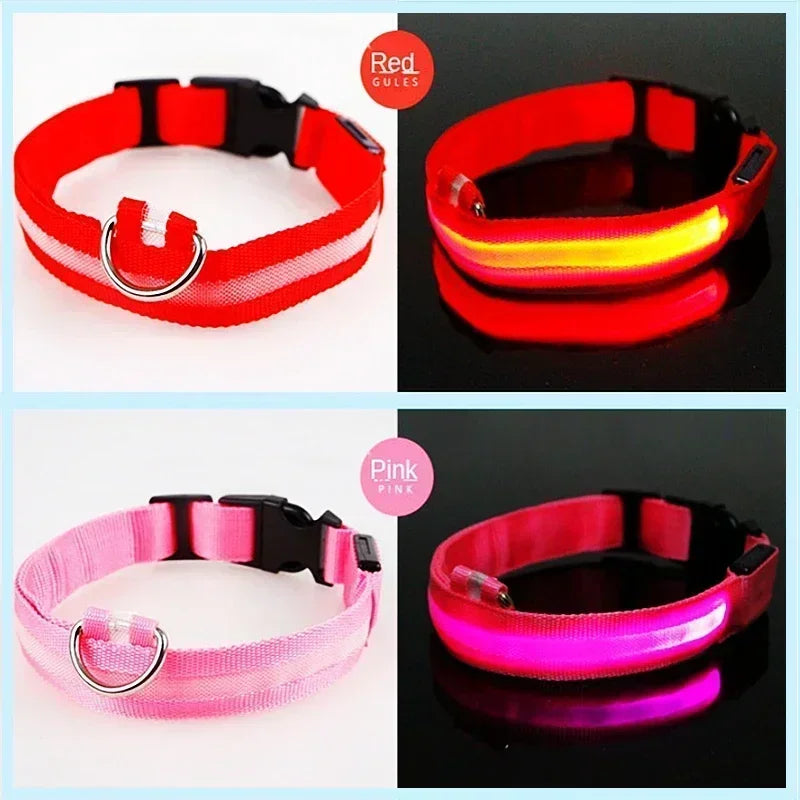 Collar LED Luminoso para Perros - Recargable USB 💡🐕