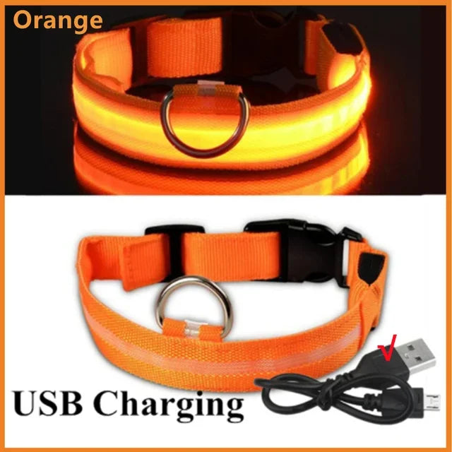 Collar LED Luminoso para Perros - Recargable USB 💡🐕