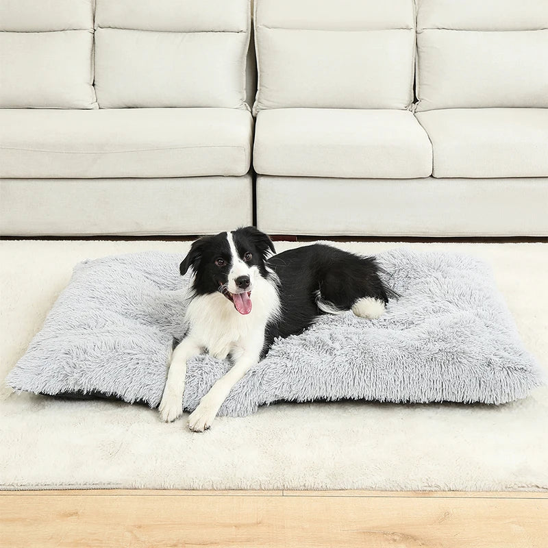 Cama Suave de Felpa para Perros y Gatos - 100% Algodón Lavable