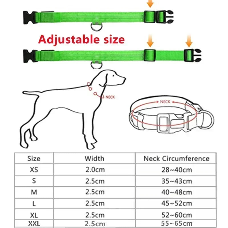 Collar LED Luminoso para Perros - Recargable USB 💡🐕
