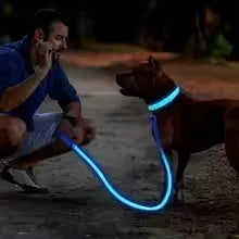 Collar LED Luminoso para Perros - Recargable USB 💡🐕